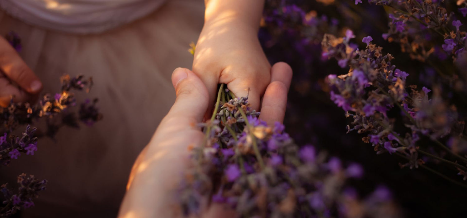 Eine Kinderhand und eine Erwachsenenhand berühren sich sanft über einem Strauß Lavendel – Symbol für Nähe, Vertrauen und Zärtlichkeit.