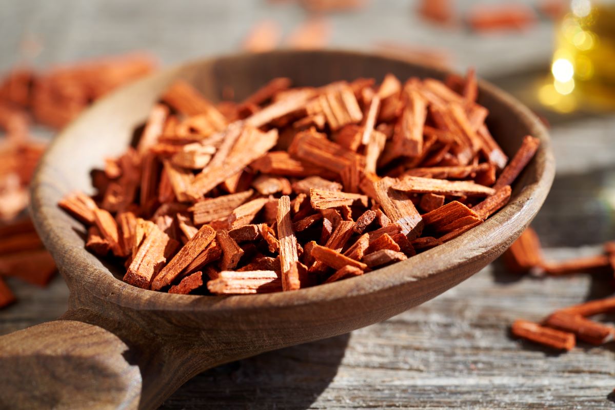 Sandelholz zu Gewinnung von Sandelholzwasser (Sandelholzhydrolat)