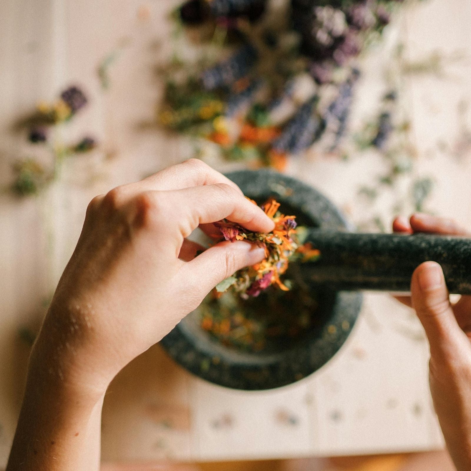 Manuelles Verarbeiten von Kräutern und Blüten – natürliche Aromatherapie und DIY-Kosmetik