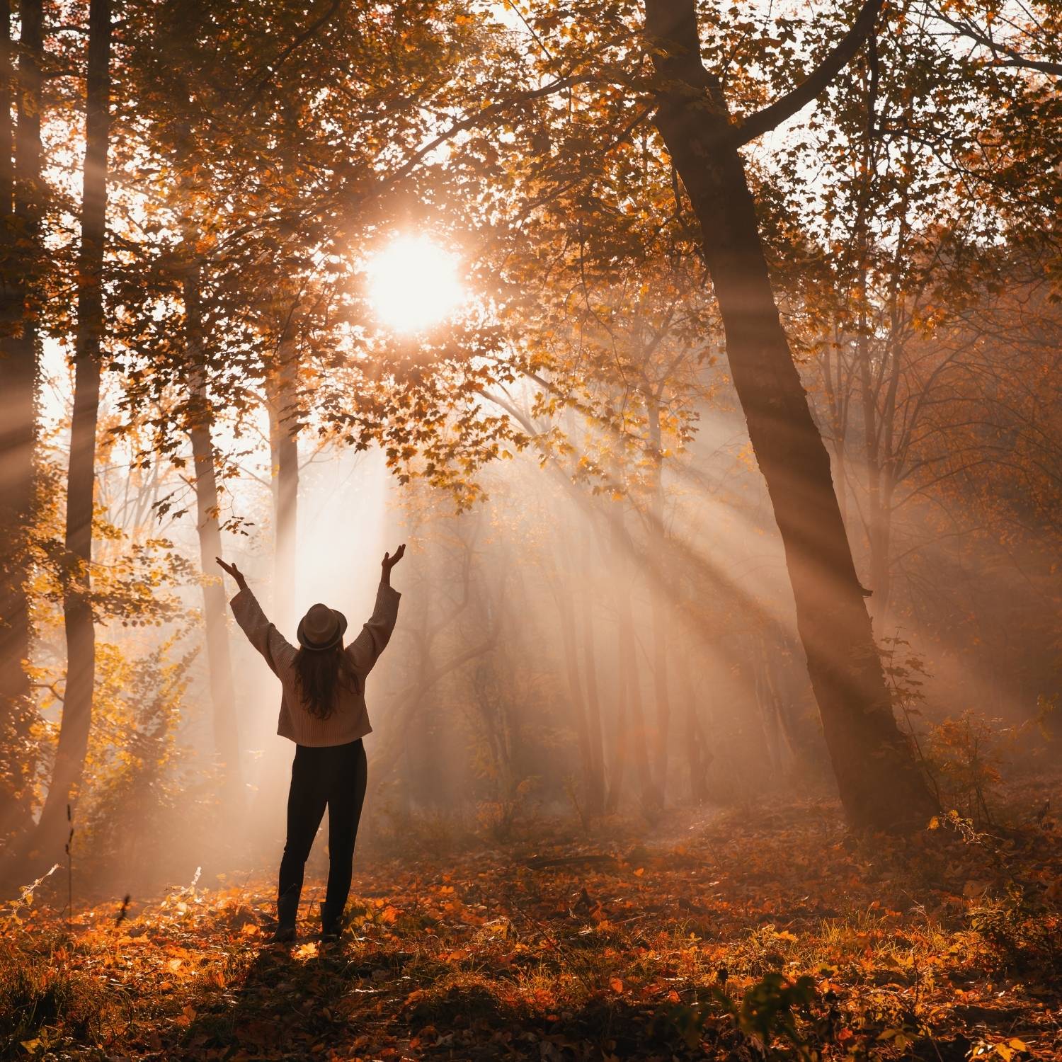 Frau steht im sonnendurchfluteten Wald und hebt die Arme zur Sonne – Symbol für die inspirierende Kraft der Walddüfte von ESSENCE-PUR