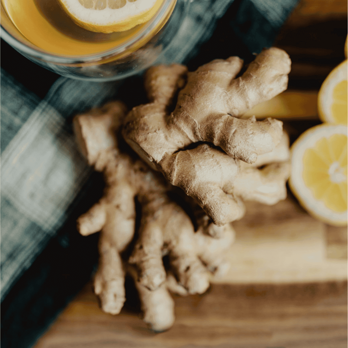 Frische Ingwerknolle mit Zitronenscheiben – Symbol für die würzig-warme Frische und die natürliche Herkunft von Ingweröl