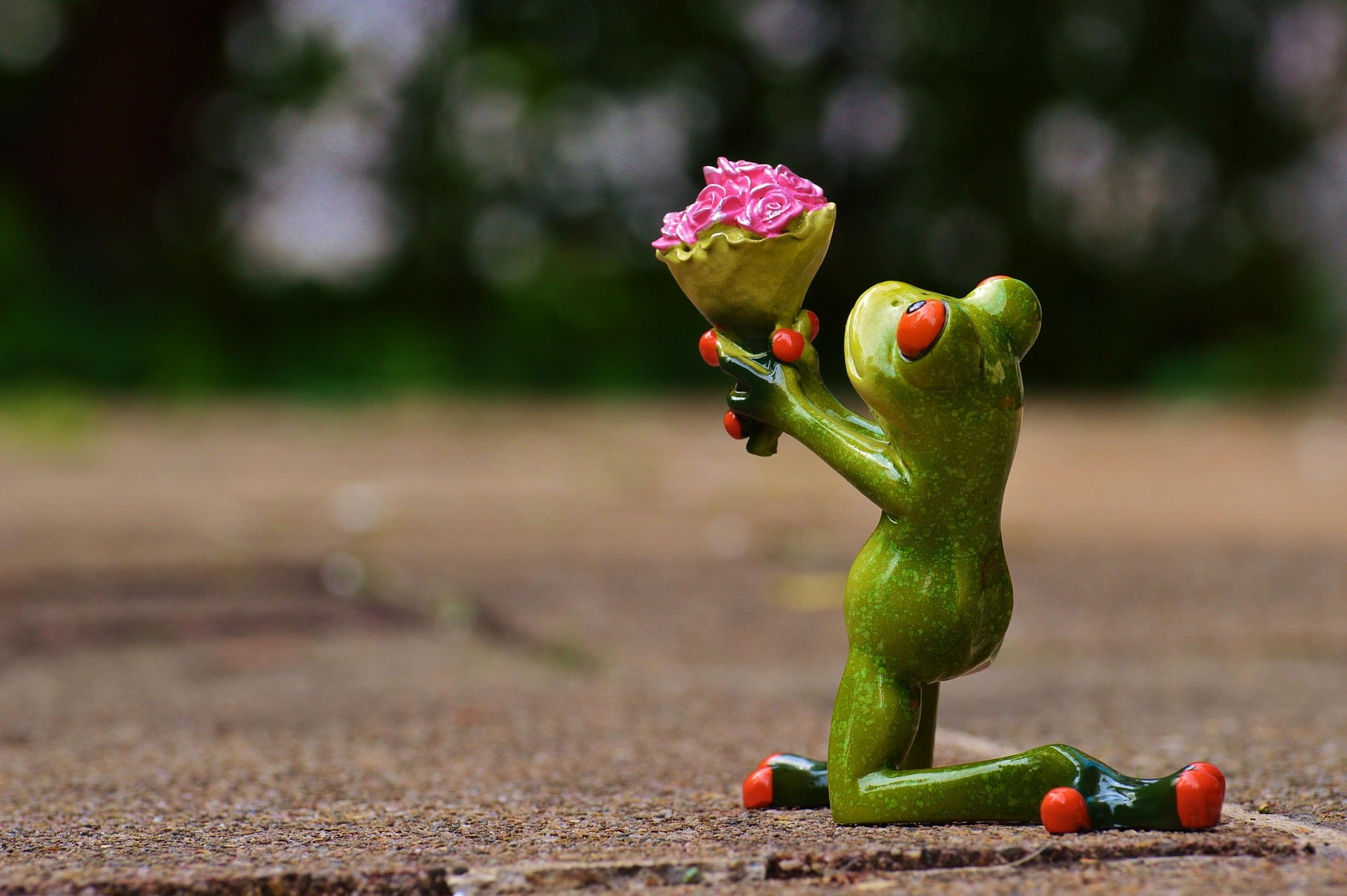 Verspielte Froschfigur kniet mit Rosenstrauß – humorvolles Symbol für Romantik und die charmante Leichtigkeit der Rosenöle von ESSENCE-PUR. (Foto: Alexa_Fotos, Pixabay)