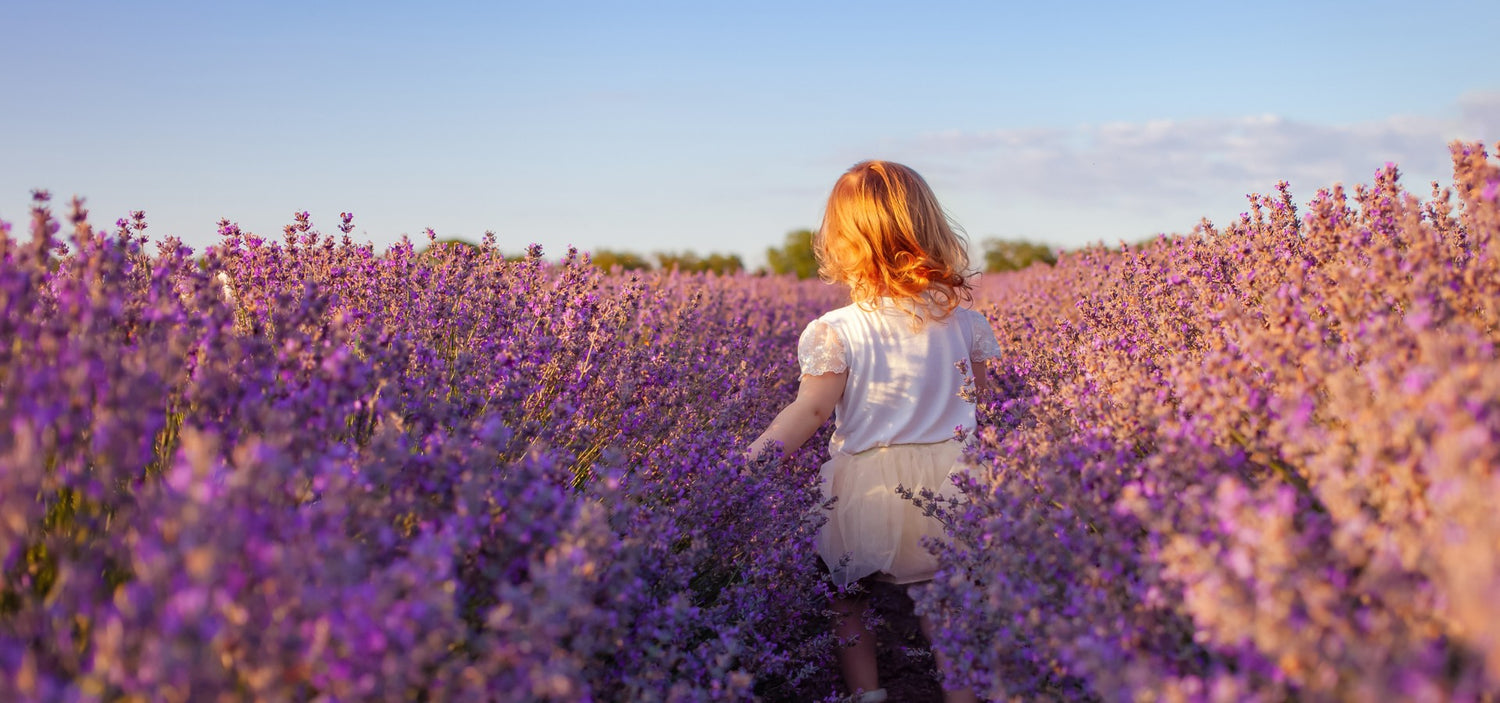 Ein kleines Mädchen geht durch ein Lavendelfeld, der Blick ist in die Weite gerichtet, das Haar vom Licht durchflutet.