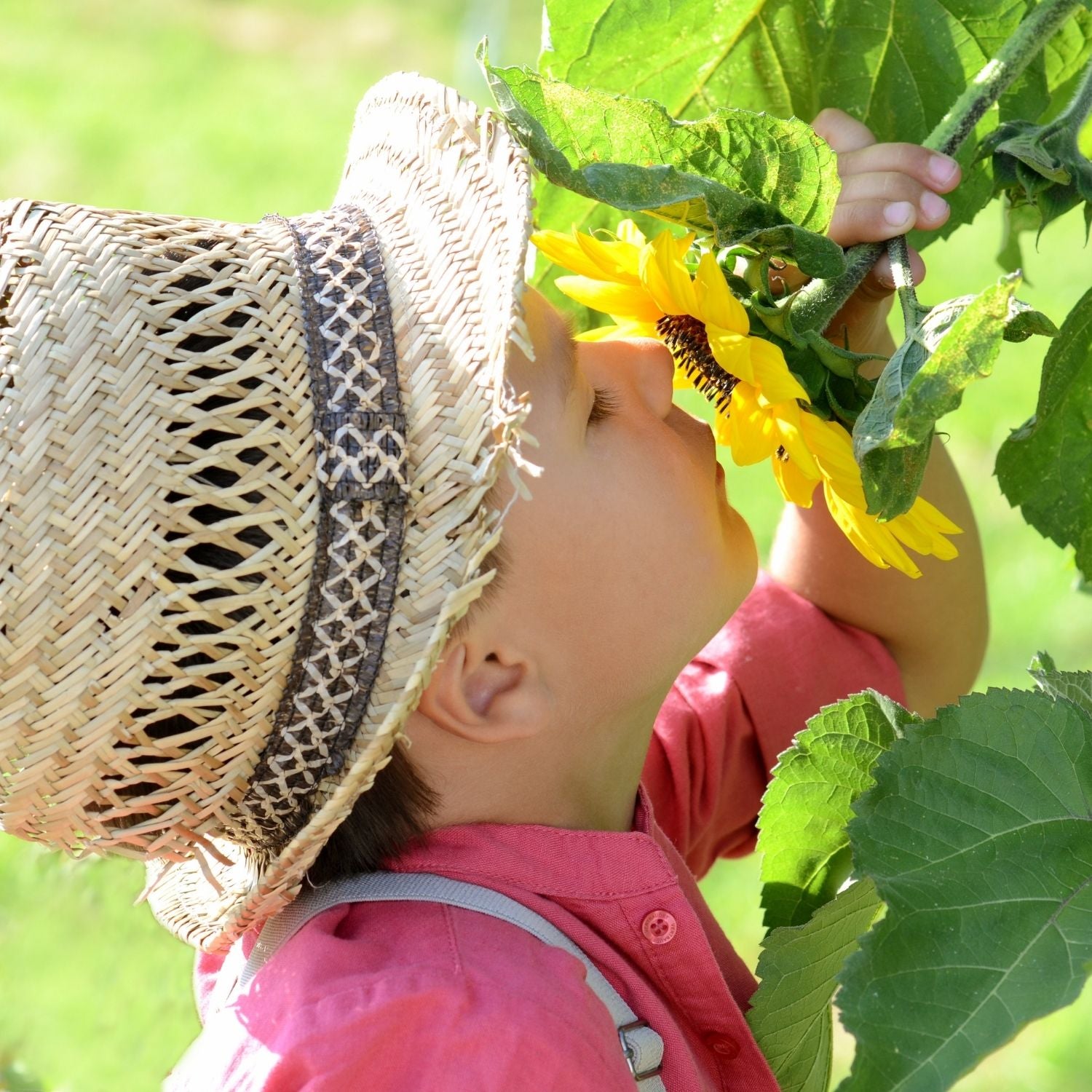 Kleiner Junge mit Strohhut riecht neugierig an einer Sonnenblume – Sinnbild für kindliche Freude, Neugier und die Leichtigkeit der Lieblingsdüfte bei ESSENCE-PUR