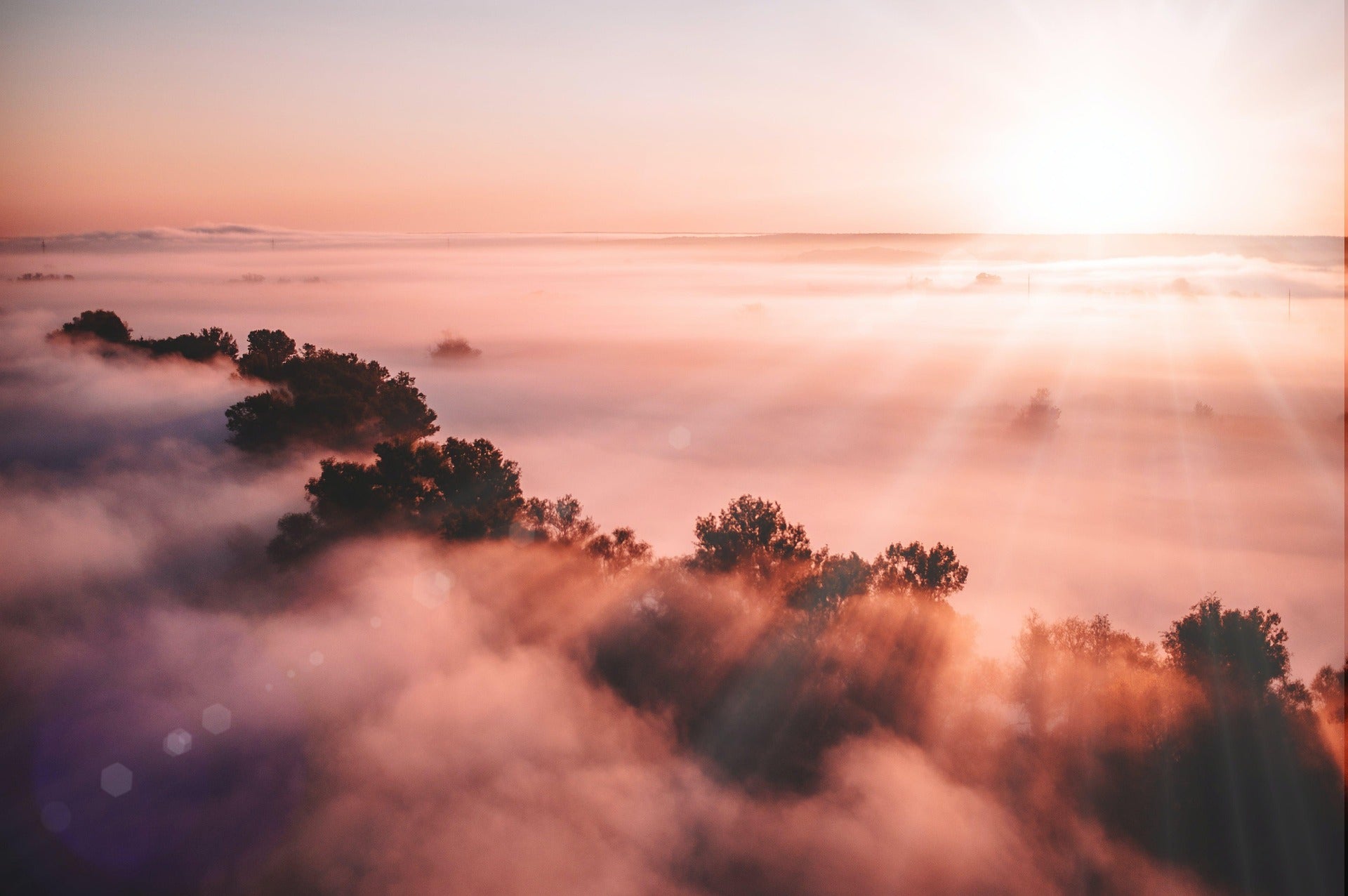 Sonnenaufgang über einem nebelverhangenen Wald – Symbol für Ruhe, Natürlichkeit und Inspiration. Universelles Collection-Bild von ESSENCE-PUR (Foto: Ruslan Sikunov, Pixabay)