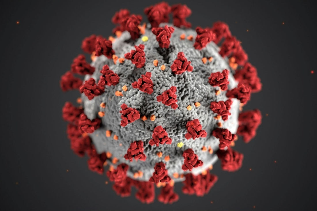 3D-Darstellung eines Viruspartikels mit Proteinspitzen – Symbolbild für Infektionsschutz und Hygiene
