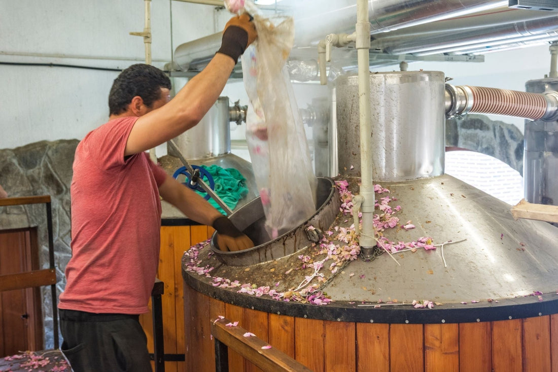 Mann befüllt traditionelle Destille mit frischen Blüten zur Gewinnung ätherischer Öle – handwerkliche Herstellung mit Sorgfalt.