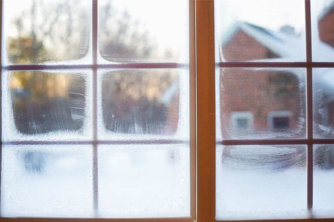🌬️ Winterblues?