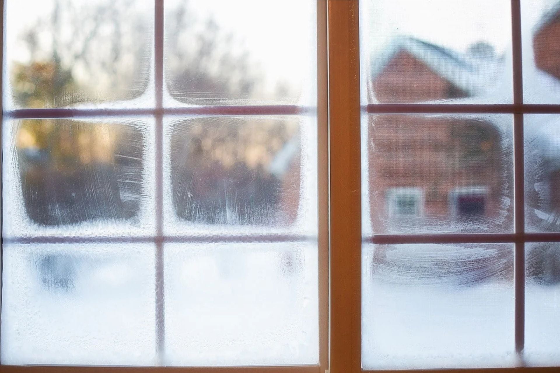 🌬️ Winterblues?