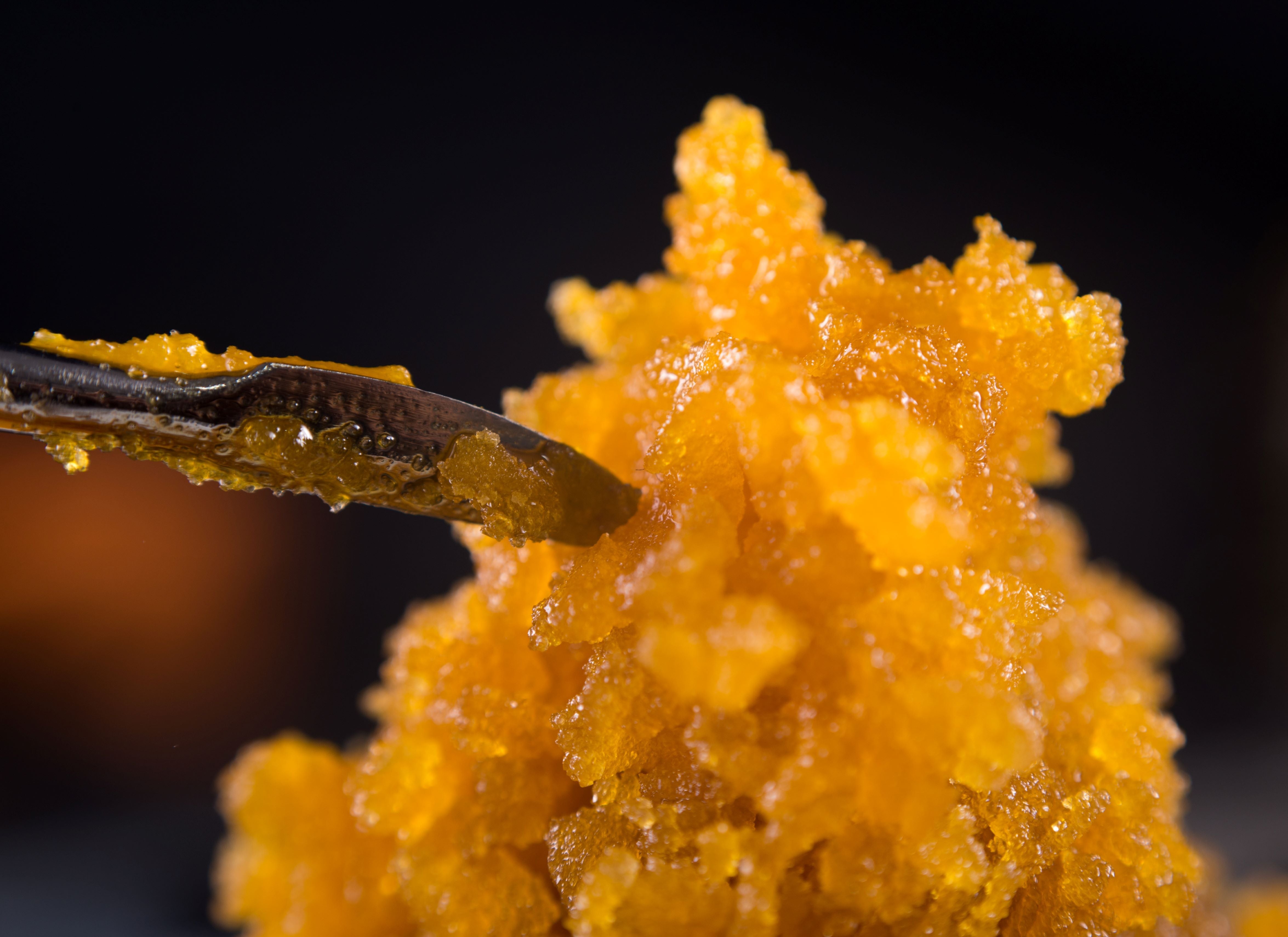 Goldgelbes Naturharz in kristalliner Form – kostbarer Rohstoff für hochwertige Essencen und Absolues.