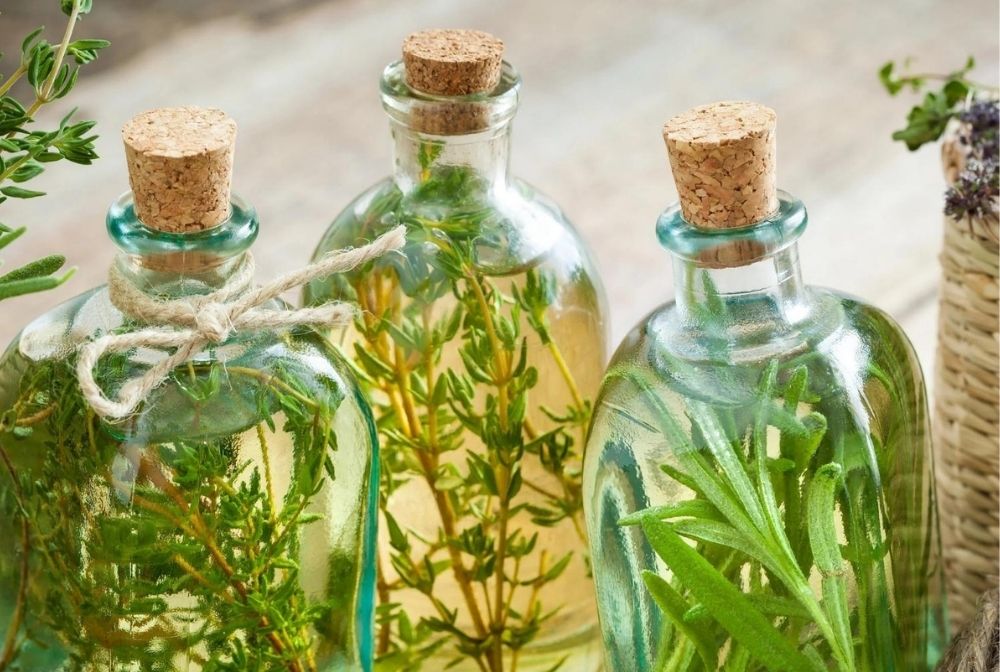 Flaschen mit ätherischen Gewürzölen, umgeben von frischem Rosmarin, Thymian und Kräutern – naturreine Bio-Qualität für Küche und Aromatherapie.