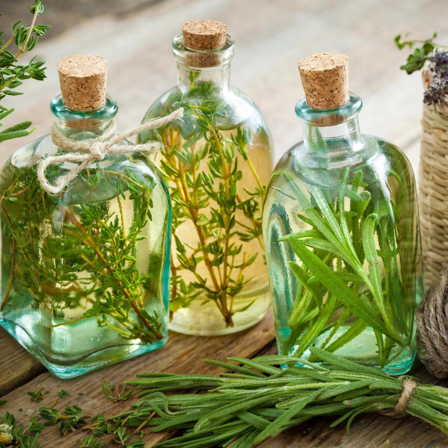 Flaschen mit ätherischen Gewürzölen, umgeben von frischem Rosmarin, Thymian und Kräutern – naturreine Bio-Qualität für Küche und Aromatherapie.