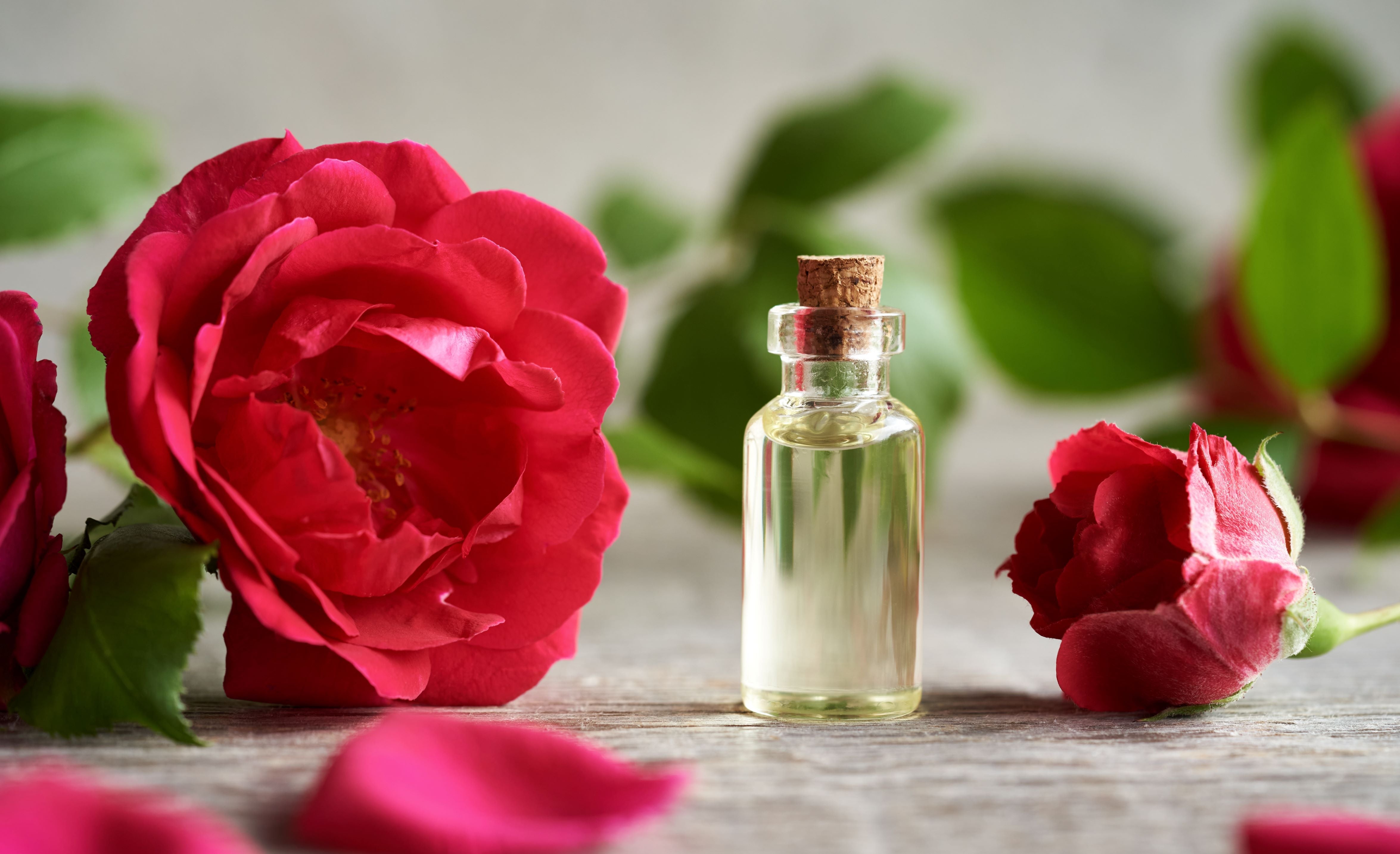 Rosen-Öl in Bio-Qualität von ESSENCE-PUR – naturreines ätherisches Öl mit intensiv blumigem, sinnlichem Duft, ideal für Aromatherapie, Hautpflege und luxuriöse Duftkreationen.