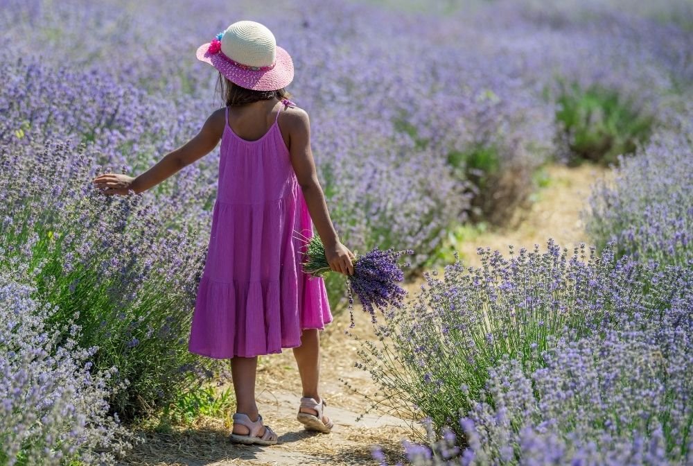 Sanfte Düfte für kleine Nasen - ESSENCE-PUR