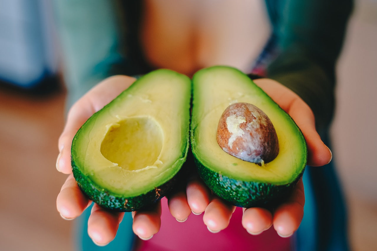 Avocado aufgeschnitten zur Gewinnung von grünem Avocadokernöl  bio
