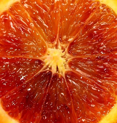 Schale der Blutorange zur Gewinnung von Blutorangenöl bio