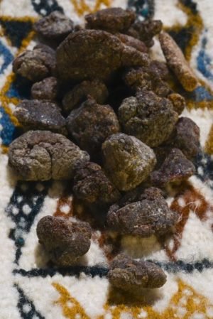 Weihrauch Öl (Boswellia neglecta) – aus Äthiopien - von ESSENCE - PUR | naturrein & hochwertig