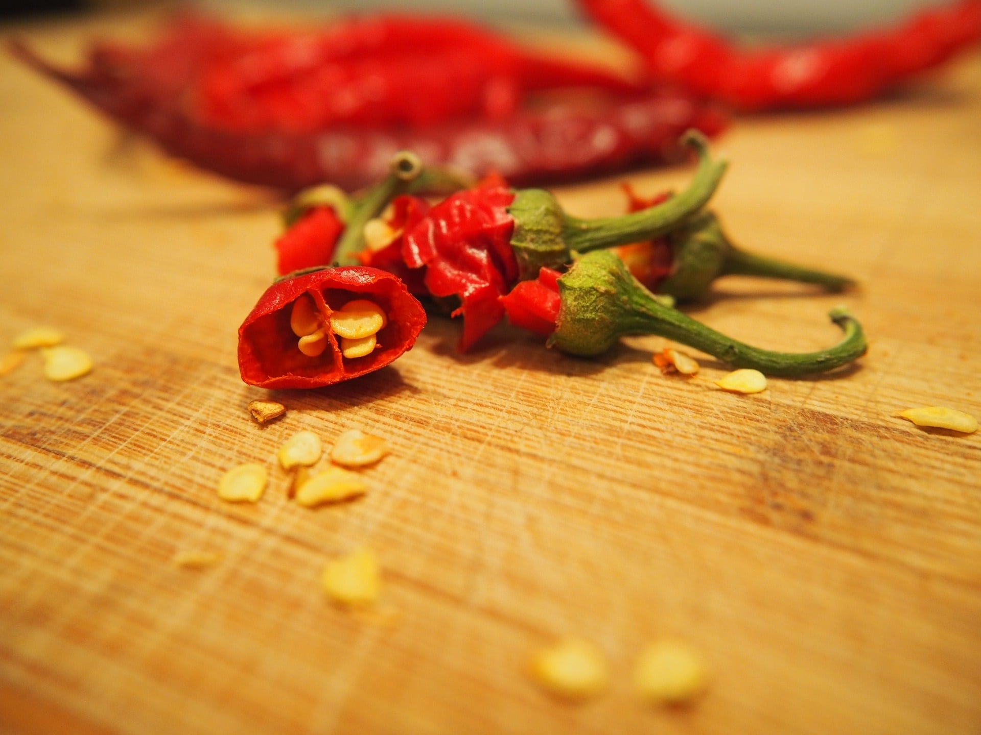 Chilisamen zur Gewinnung von Chilisamen (ätherisches Öl)
