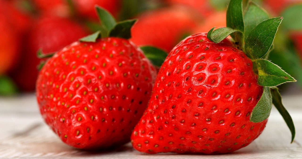 Erdbeeren zur Gewinnung von Erdbeersamenöl bio (kaltgepresst)
