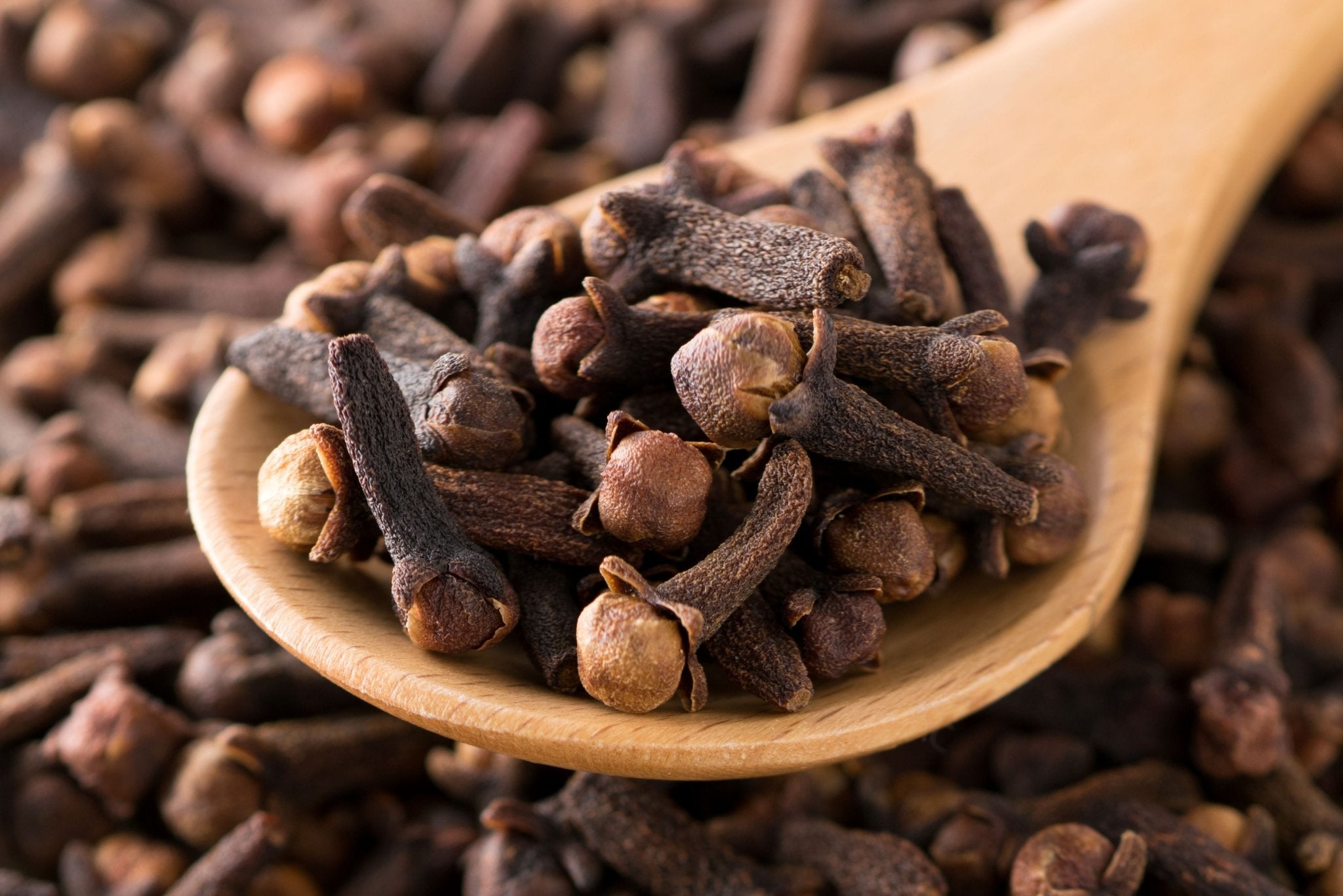 Nelkenöl bio (ätherisches Öl) - von ESSENCE - PUR | naturrein & hochwertig