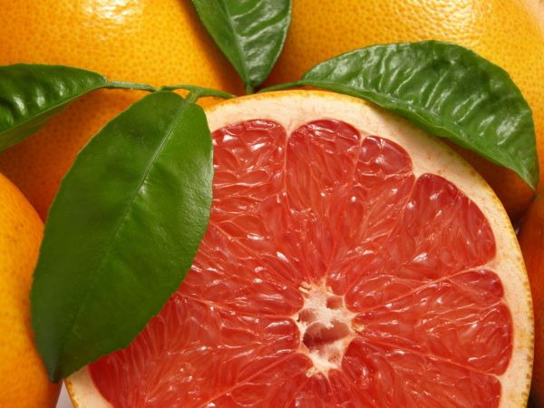 Grapefruit in pink aufgeschnitten. Die Schale dient zur Gewinnung von Grapefruit pink (ätherisches Öl)