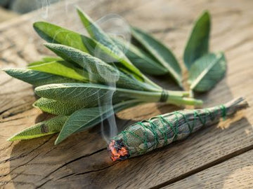 Weißer Salbei (Indianischer Räuchersalbei) – Salvia apiana aus Kanada - von ESSENCE - PUR | naturrein & hochwertig
