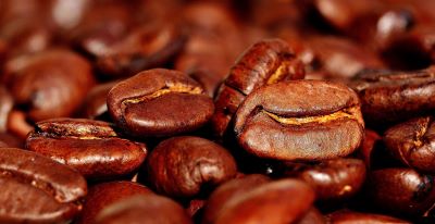 Kaffee-Bohnen zur Herstellung von Kaffee absolue (Bio-Alkoholverdünnung)
