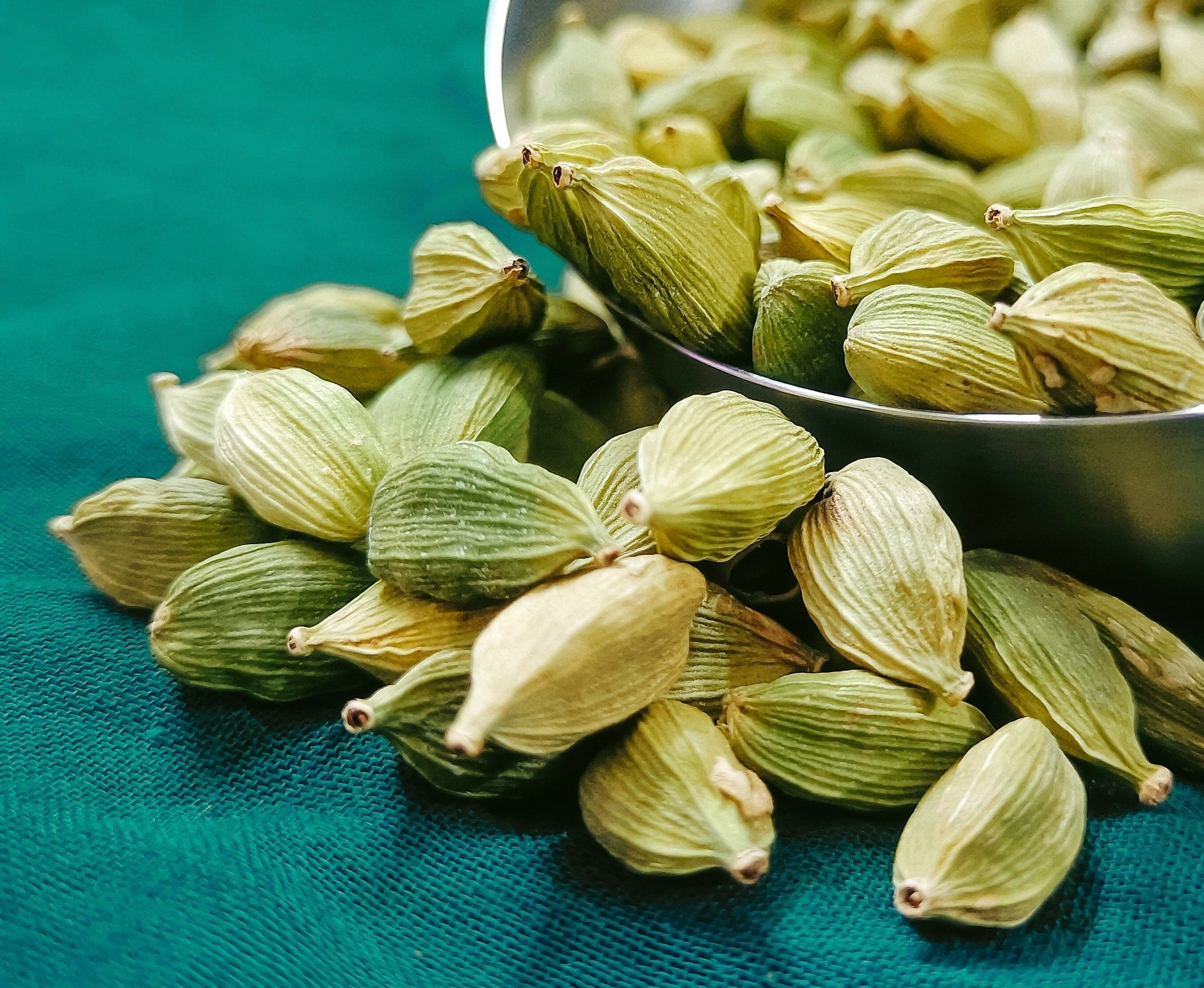 Kardamomkapseln-cardamom zur Gewinnung von Kardamom Öl bio (ätherisches Öl)