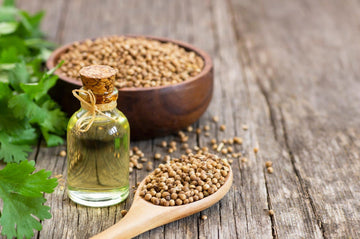 Koriandersamen Öl (Coriandrum sativum) - von ESSENCE - PUR | naturrein & hochwertig