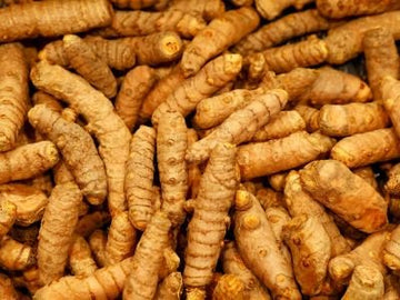 Kurkumaöl weiß (aus Nepal) - von ESSENCE - PUR | naturrein & hochwertig