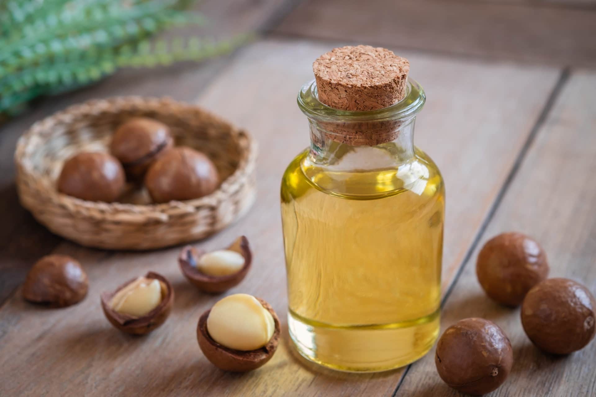 Aus der Macadamia Nuss kaltgepresst wird wunderbares Macadamianussöl bio 