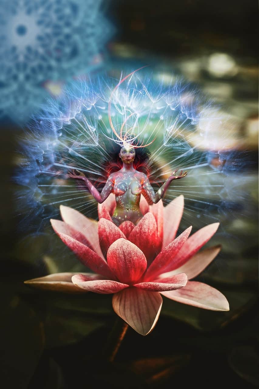 meditiere mit Meditation Duftmischung (ätherisches Öl)