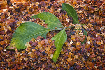 Myrrhe Kenia bio (ätherisches Öl) - von ESSENCE - PUR | naturrein & hochwertig