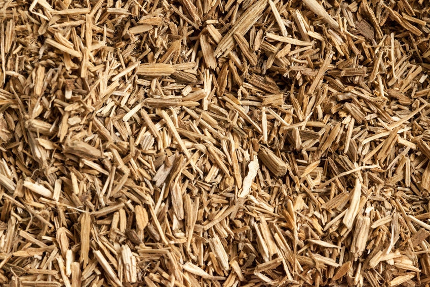 Agarwood