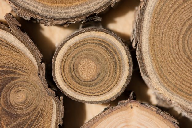 Sandelholz zur Herstellung von Sandelholz Royal Hawaiian 50% (Bio-Alkoholverdünnung)