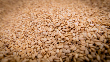 Sesam Öl nativ – kaltgepresst aus Peru - von ESSENCE - PUR | naturrein & hochwertig