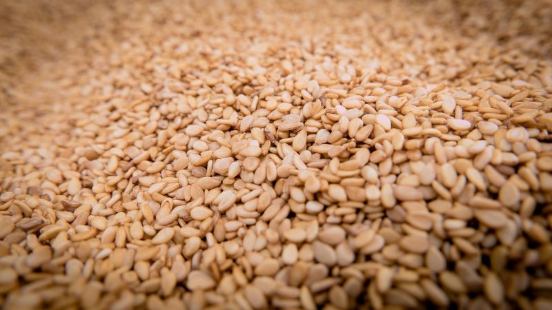 Sesamsamen zur Gewinnung von nativ gereiftem Sesamöl bio 