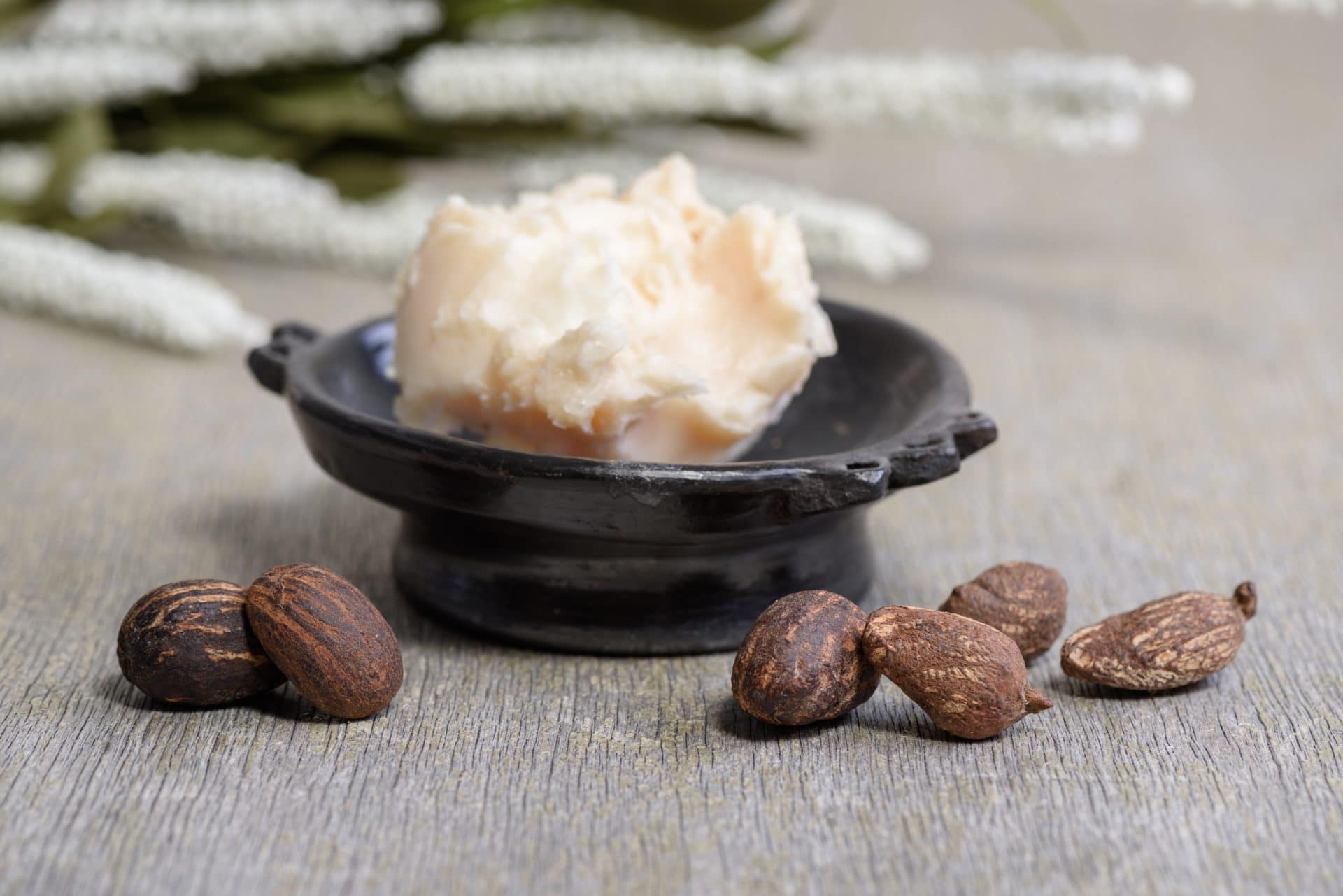 Sheabutter und Nüsse zur Gewinnung von Sheabutter natur bio