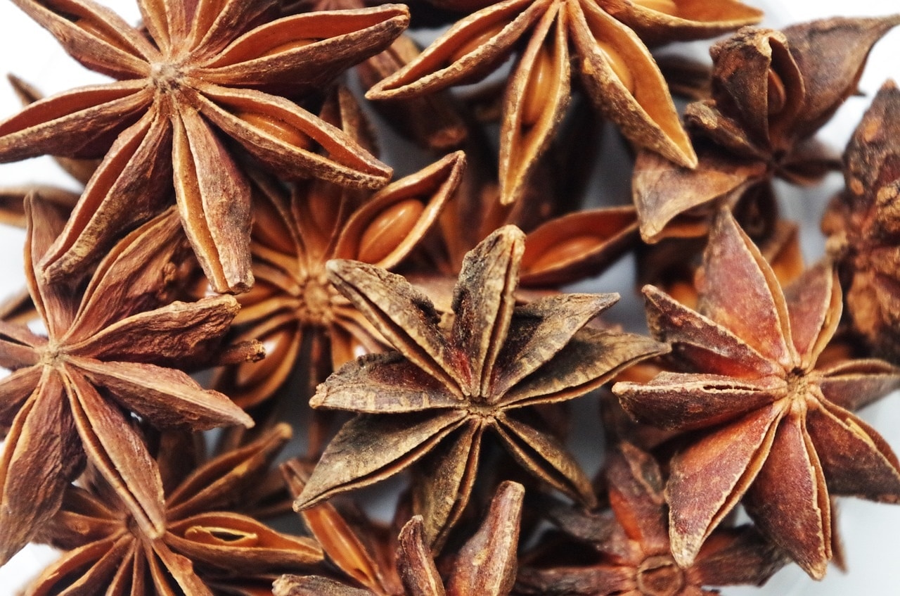 Sternanis zur Gewinnung von Sternanis Öl  in Bio-Qualität (ätherisches Öl)