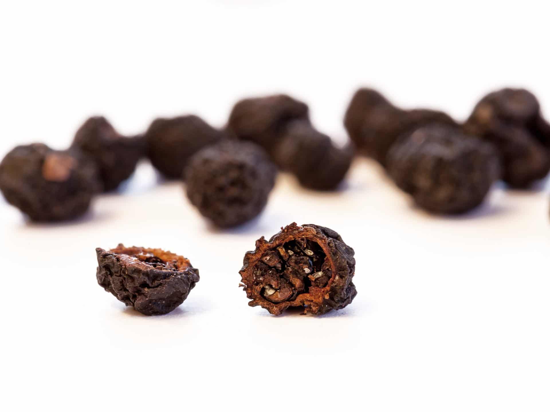 Pepper-Tasmannian zur Herstellung von Pfefferöl Tasmanien Absolue - Bio-Alkoholverdünnung
