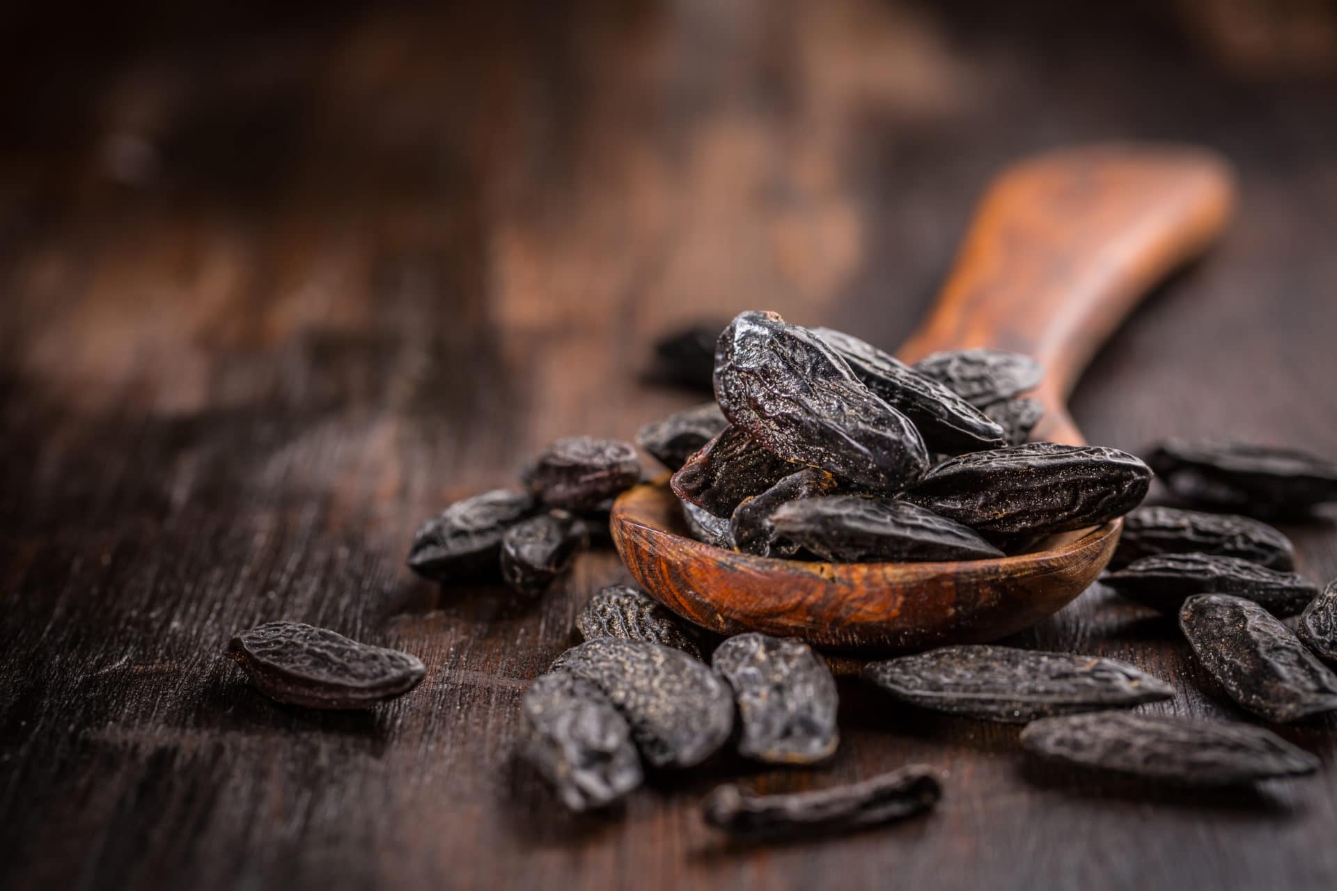 Tonkabohnen-Tonka-Beans zur Gewinnung von Tonkabohne absolue 100%