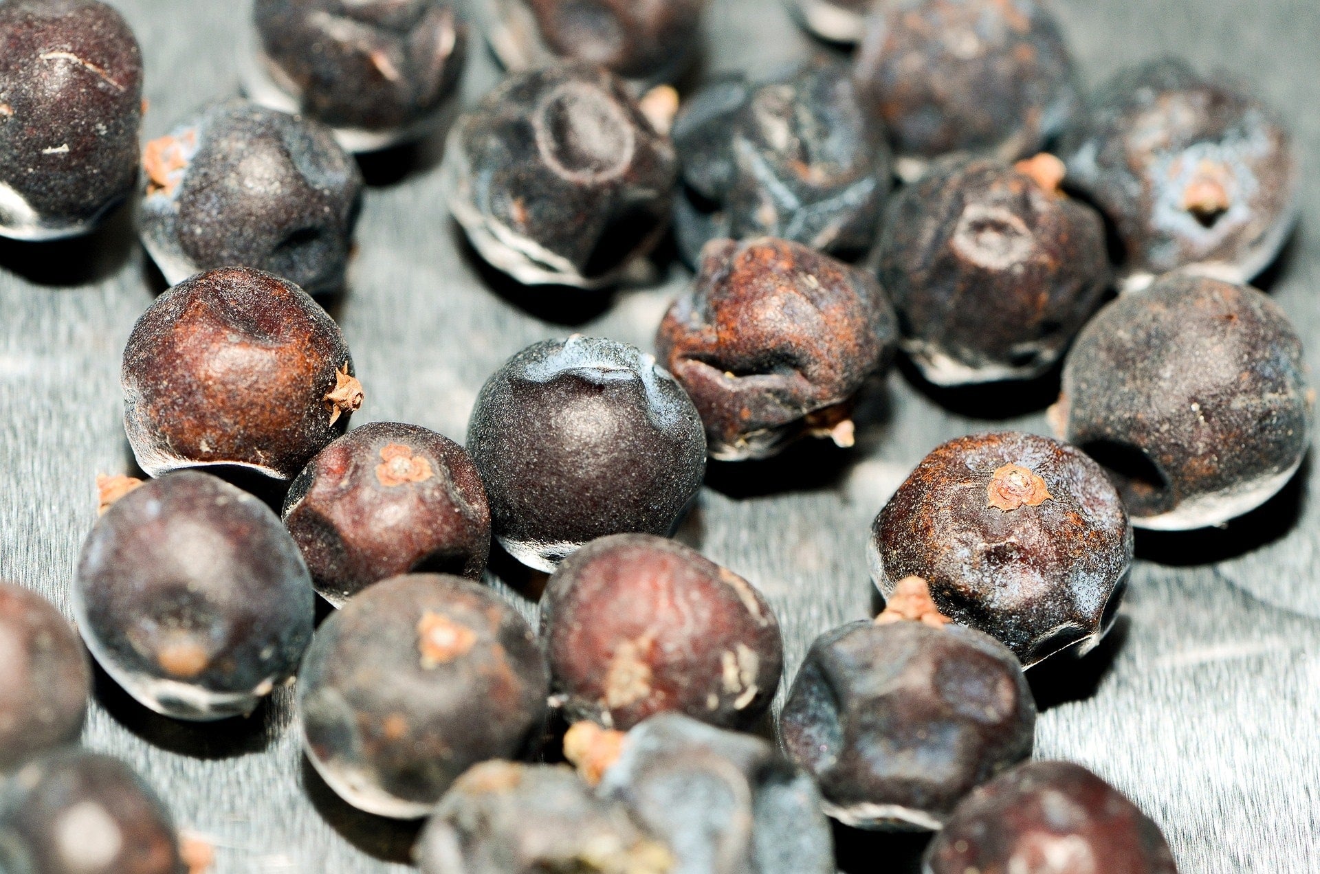 Wacholderbeeren zur Gewinnung von Wacholderbeeren (ätherisches Öl)