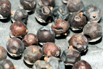 Wacholderbeeren Öl bio (ätherisches Öl) - von ESSENCE - PUR | naturrein & hochwertig