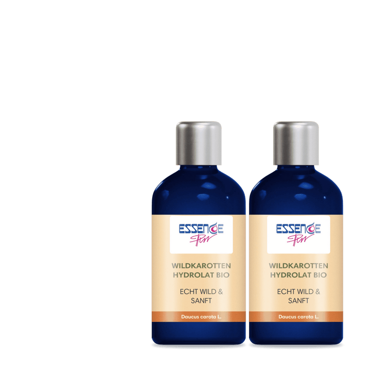 Wildkarottenhydrolat bio - Daucus carota - von ESSENCE-PUR | naturrein & hochwertig