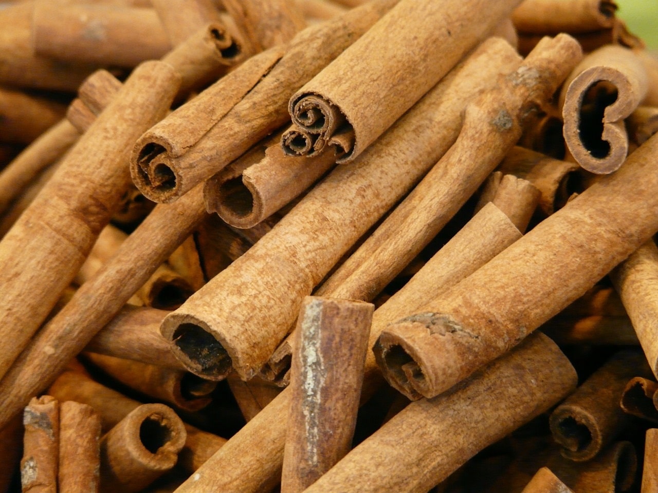 Zimtrinden zur Gewinnung von Zimtrindenöl superior bio (Cinnamomum zeylanicum) (ätherisches Öl)
