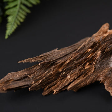 Agarwood - Oud Harmonie - von ESSENCE - PUR | naturrein & hochwertig
