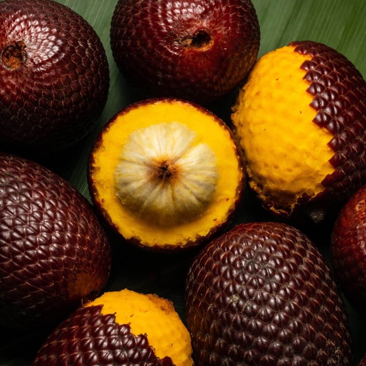 Buriti Öl bio - kaltgepresst - von ESSENCE-PUR | naturrein & hochwertig