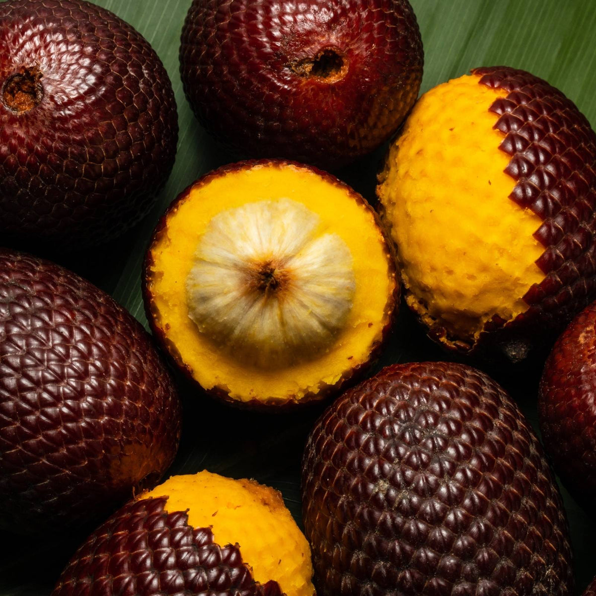 Buriti Früchte (Mauritia flexuosa) mit orangefarbenem Fruchtfleisch auf einem grünen Palmblatt