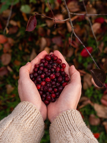 Cranberrysamen Öl bio - von ESSENCE - PUR | naturrein & hochwertig