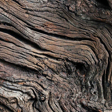 Eichenholz Resinoid (Oak Wood) - naturrein - von ESSENCE - PUR | naturrein & hochwertig